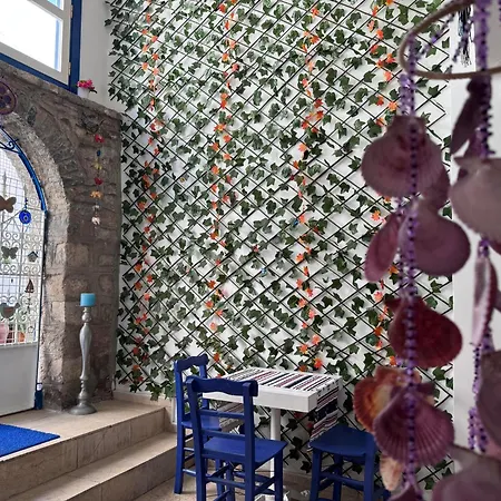 وايت أند بلو 2*