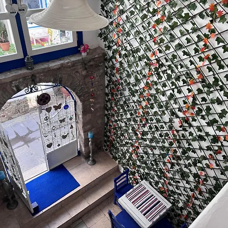 White And Blue Panzió 2*